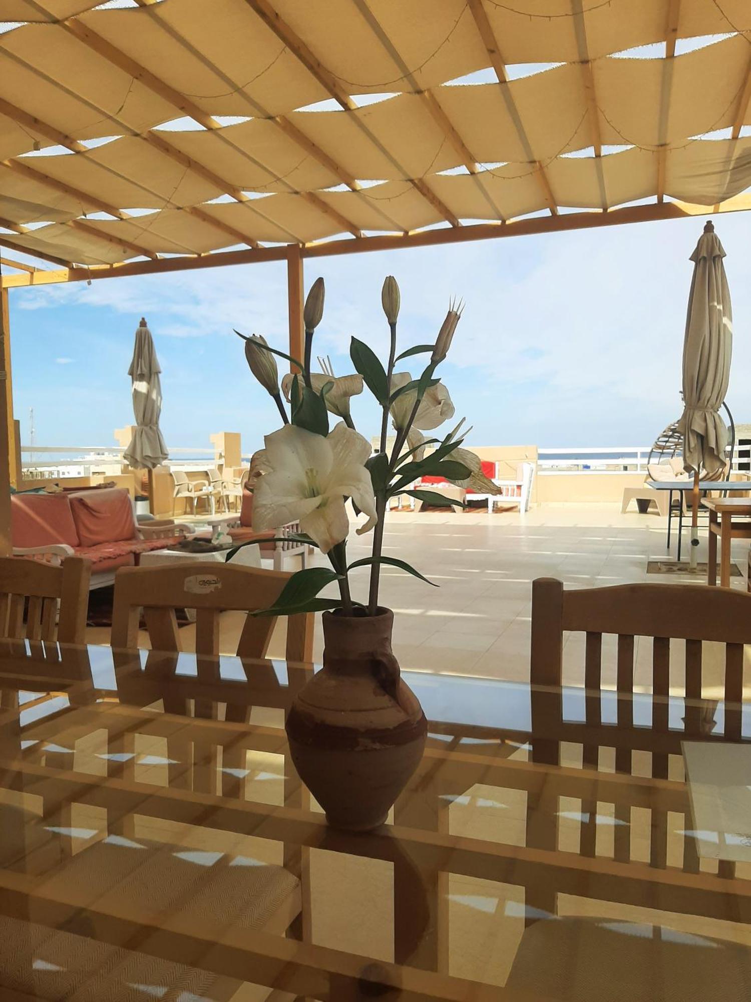 Alam B&B Marsa Alam Exteriör bild